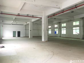 高效仓储首选 福永镇6米高精品一楼厂房2000平灵活分租，配套红本领航便捷仓储